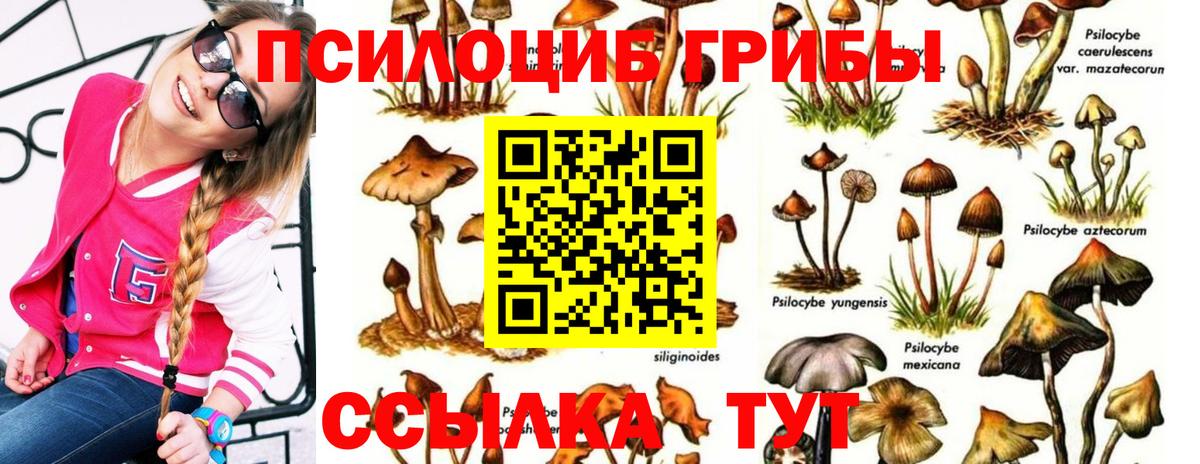 Псилоцибиновые грибы прущие грибы Сатка