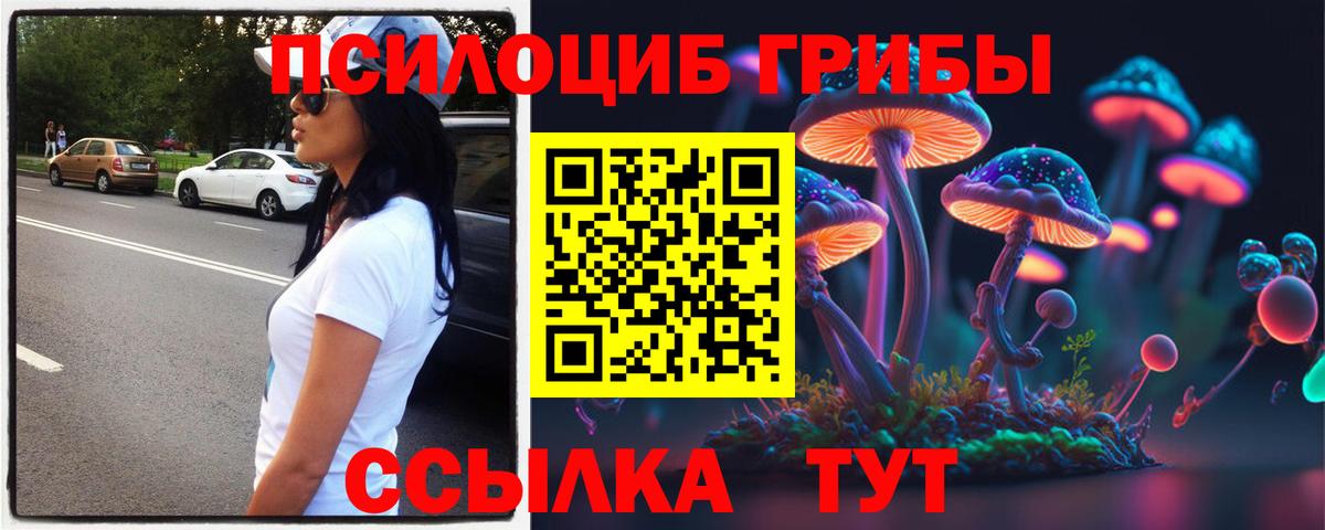 Сатка  Псилоцибиновые грибы мицелий  Вход с VPN 